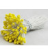 BUNCH 80 STAMENS WITH SHINE – WIRE STEM