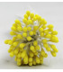 BUNCH 80 STAMENS WITH SHINE – WIRE STEM