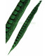 PHEASANT FEATHER LADY AMHERST 40-45 CMS.