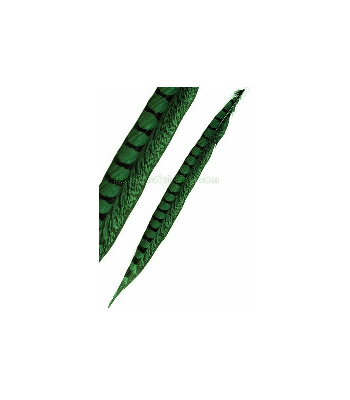 PHEASANT FEATHER LADY AMHERST 40-45 CMS.