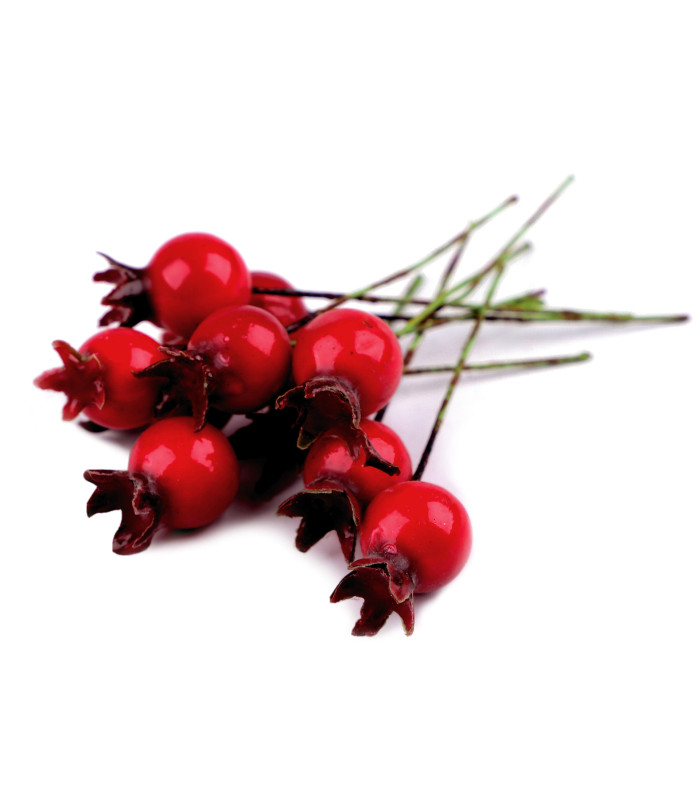 Decorative Artificial Rose Hip