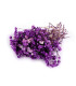 PRESERVED GYPSOPHILA FOR FLORAL ARRANGEMENTS