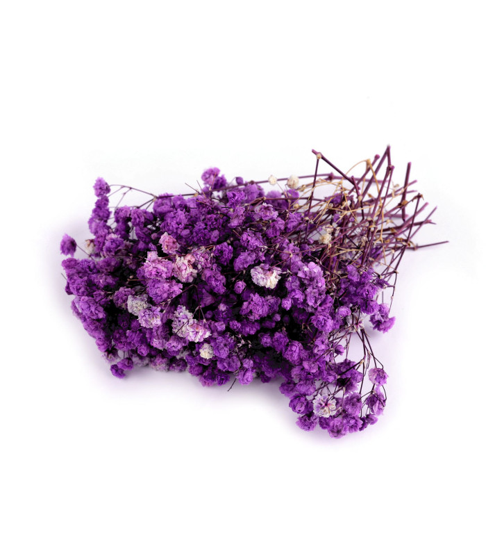 PRESERVED GYPSOPHILA FOR FLORAL ARRANGEMENTS