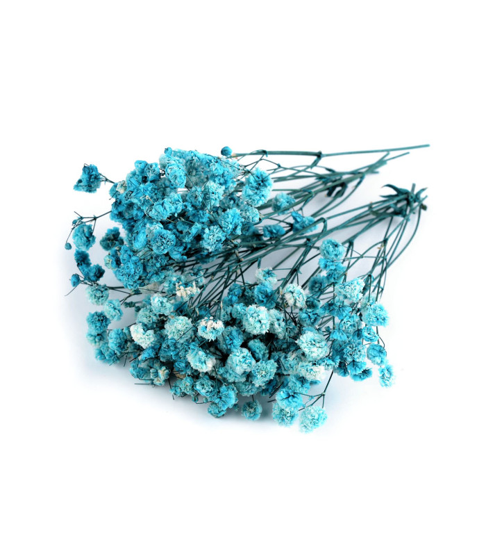 PANICULATA PRESERVADA PARA ARRANJOS FLORAIS