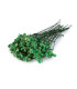 PANICULATA PRESERVADA PARA ARRANJOS FLORAIS