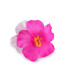 PRESILHA DE CABELO FLOR DE HIBISCO