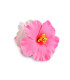 PRESILHA DE CABELO FLOR DE HIBISCO