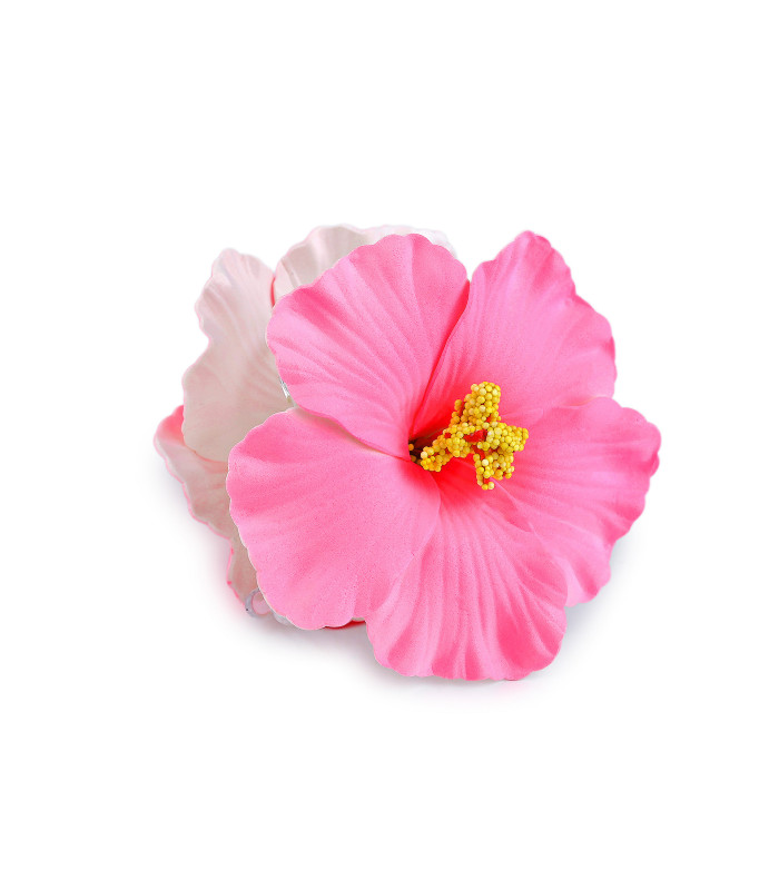PINZA PARA EL PELO FLOR DE HIBISCO