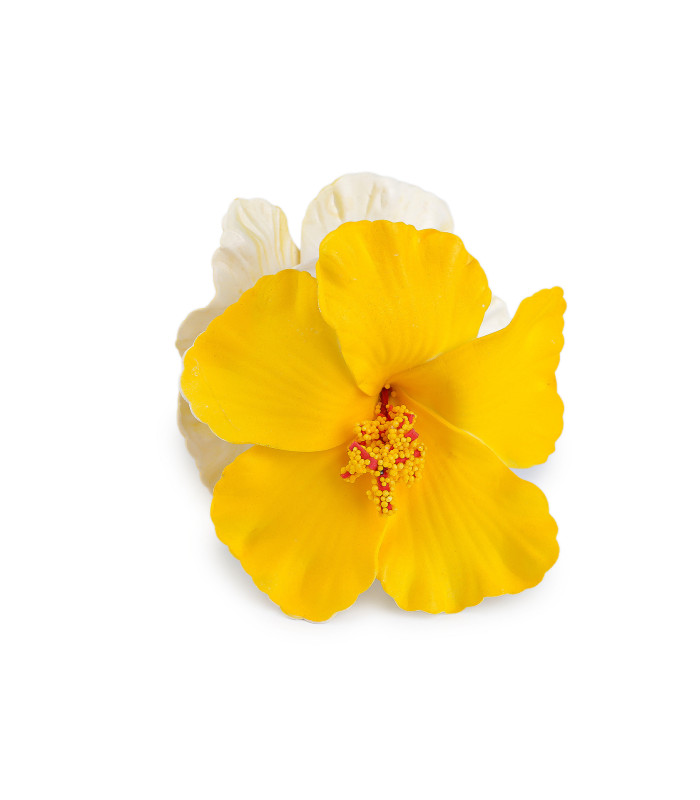 PINZA PARA EL PELO FLOR DE HIBISCO