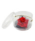 DIY KIT TO CREATE YOUR FASCINATOR – No. 5