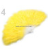 FAN FEATHERS 50 - 65 CMS.
