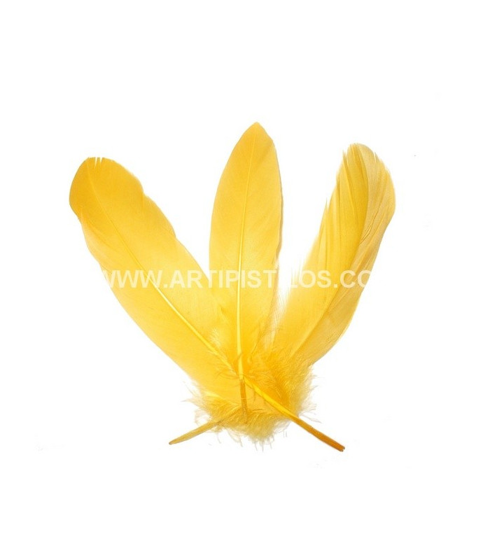 BOLSA DE PLUMAS DE ÁNADE
