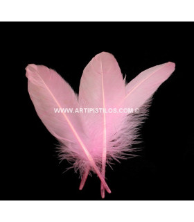 DUCK FEATHERS PACKET