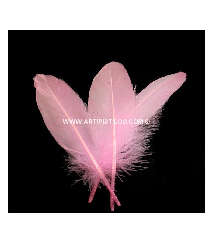 BOLSA DE PLUMAS DE ÁNADE