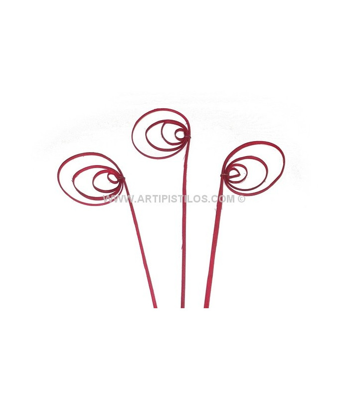CANE CIRCLE