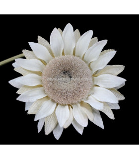 GIRASOL Ø13 CMS.