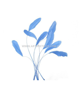 STRIPPED ROOSTER FEATHERS PACKET