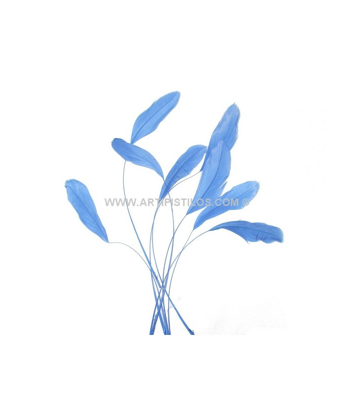 STRIPPED ROOSTER FEATHERS PACKET