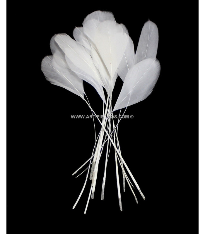 STRIPPED ROOSTER FEATHERS PACKET