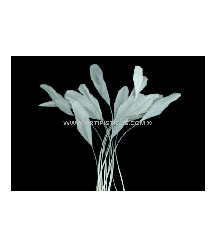STRIPPED ROOSTER FEATHERS PACKET