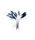 STRIPPED ROOSTER FEATHERS PACKET