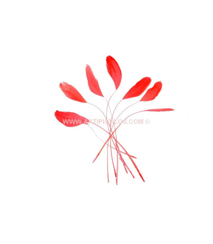 STRIPPED ROOSTER FEATHERS PACKET