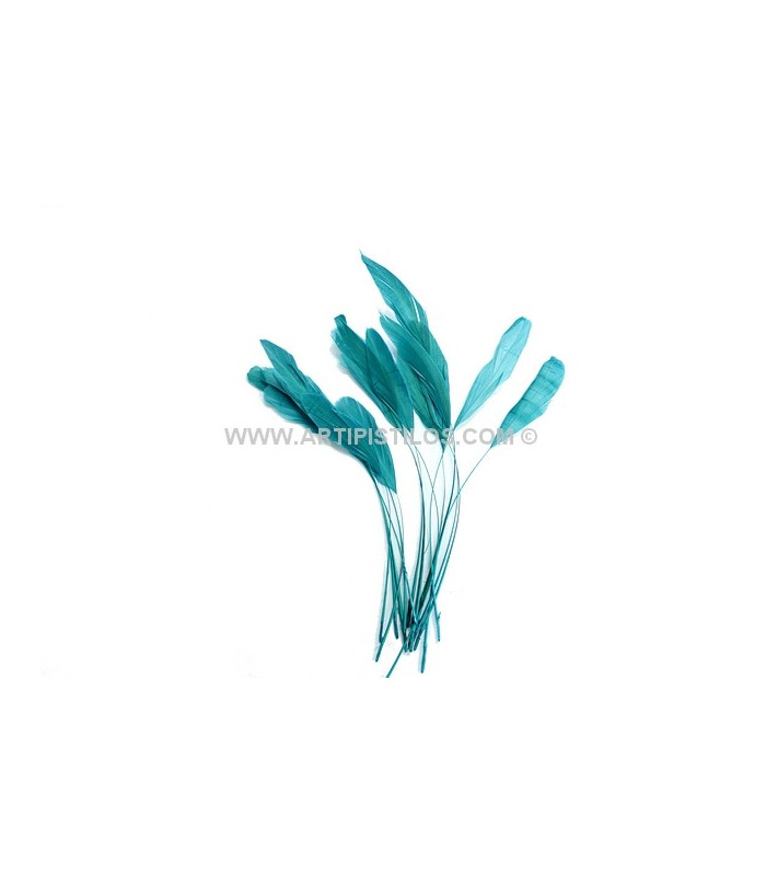STRIPPED ROOSTER FEATHERS PACKET