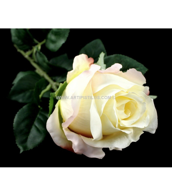 FABRIC ROSE 8 X 6 CMS