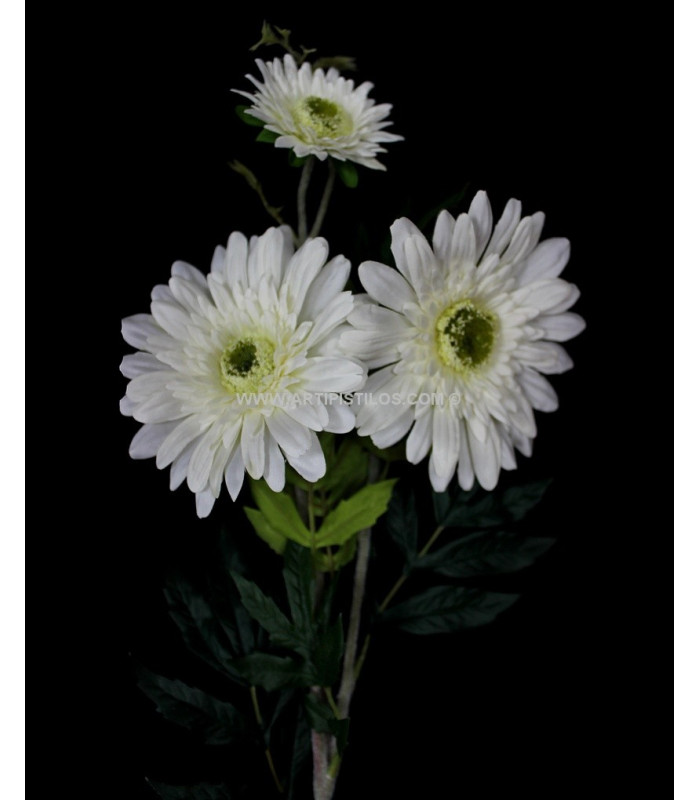 GERBERA BOUQUET 3 FLOWERS