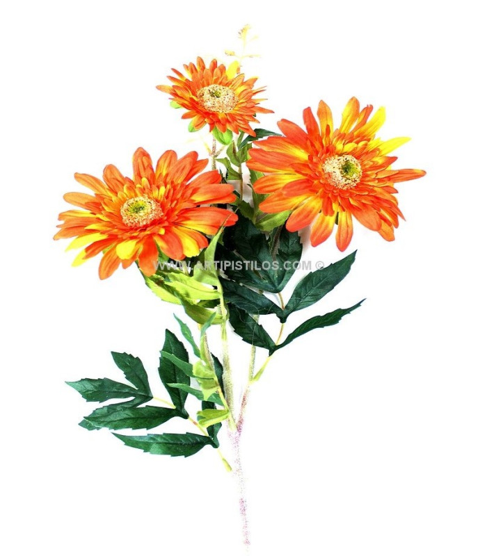 GERBERA BOUQUET 3 FLOWERS