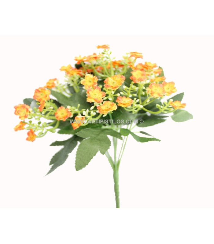 BOUQUET DE CALANCHOE