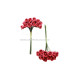 RAMILLETE 12 FLORES DE FOAM