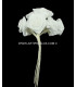 RAMILLETE 12 FLORES DE RASO