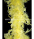 FEATHER BOA TURKEY FLAT