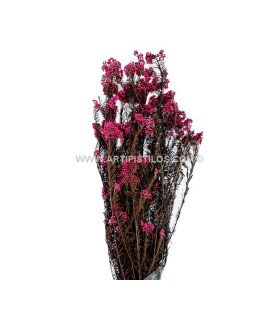 FLOR PRESERVADA DIOSMI