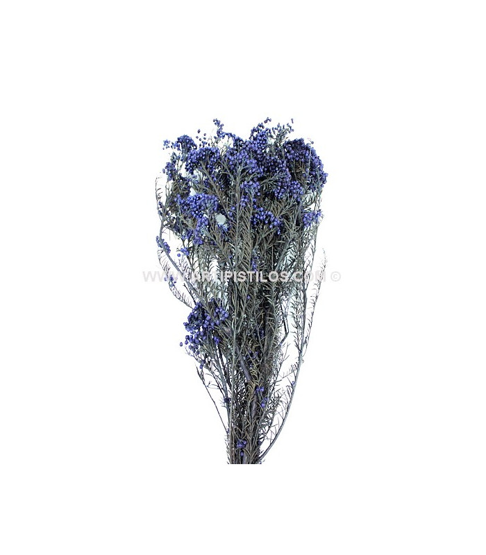FLOR PRESERVADA DIOSMI