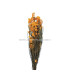 FLOWER PRESERVER DIOSMI