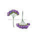 PAPER FLOWER BUNDLE