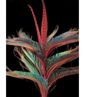Pick Floral De Plumas De Faisán-pavo Real Rojo 55 Cms. De Alto X 40 Cms. De Ancho - color