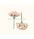 PAPER FLOWER BUNDLE