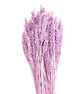 ESPIGA DE TRIGO NATURAL