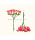 PAPER FLOWER BUNDLE