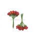 POMO 12 FLORES
