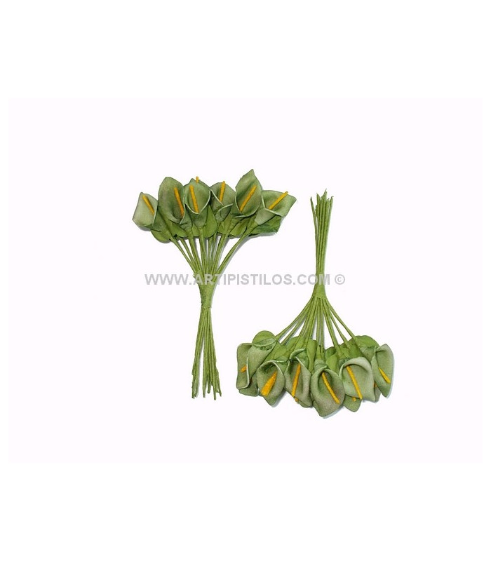 12 FLOWERS BUNDLE