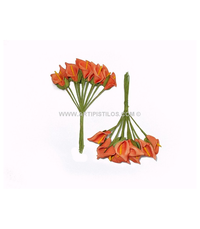 12 FLOWERS BUNDLE