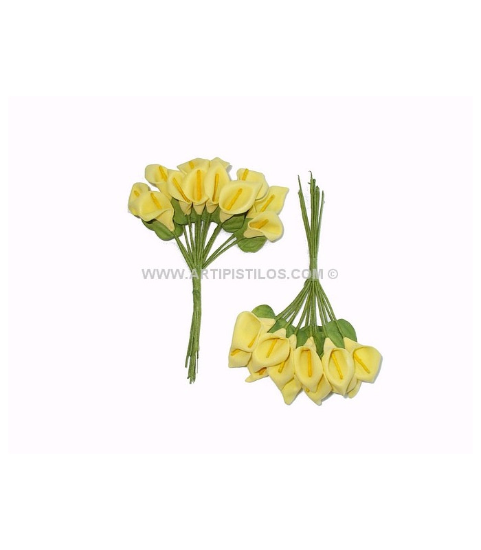POMO 12 FLORES