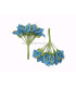 POMO 12 FLORES DE FOAMY