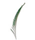 PLUMA PAVO REAL ESPADA 30 CMS.