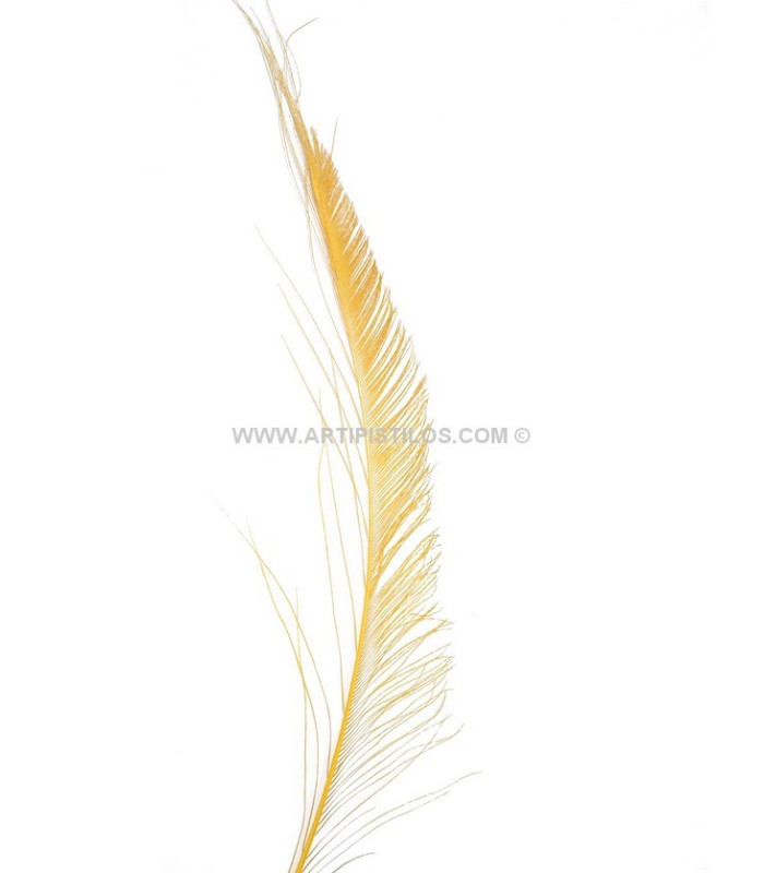 PLUMA PAVO REAL ESPADA 30 CMS.