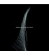 PLUMA PAVO REAL ESPADA 30 CMS.